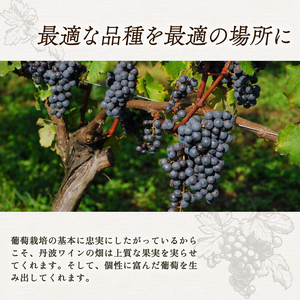赤白ワイン飲み比べ 2本セット 丹波ワインセット ワインセット2本 ワインセット赤白 京都ワインセット 国内醸造ワインセット