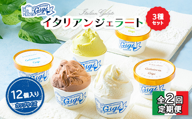 【定期便2回】 ジェラテリアGigi イタリアンジェラート 3種 各4個 計12個 セット ジェラート アイス 牛乳 ピスタチオ チョコレート カップ スイーツ 定期便 2回 ふるさと納税 北海道 恵庭市 恵庭【43007301】