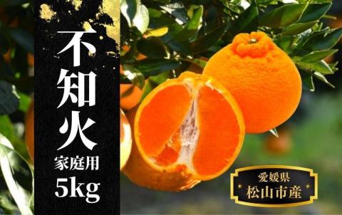 【不知火】家庭用 約5kg ＜2025年2月末～4月頭頃発送＞