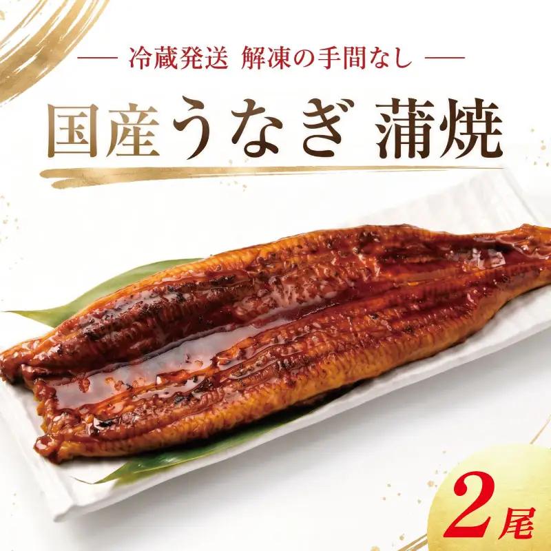 うなぎ 蒲焼 国産 小サイズ 2尾 《 冷蔵発送 解凍手間なし！》 鰻