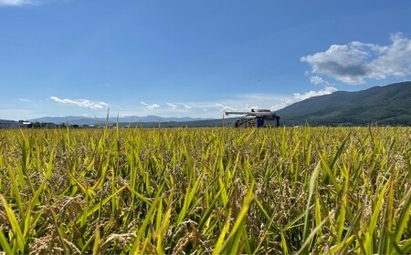 【令和7年産】 北海道 蘭越産 ゆめぴりか 5kg お米 米 コメ ごはん ご飯 飯 白ご飯 白米 常温 国産 北海道産 北海道 蘭越町