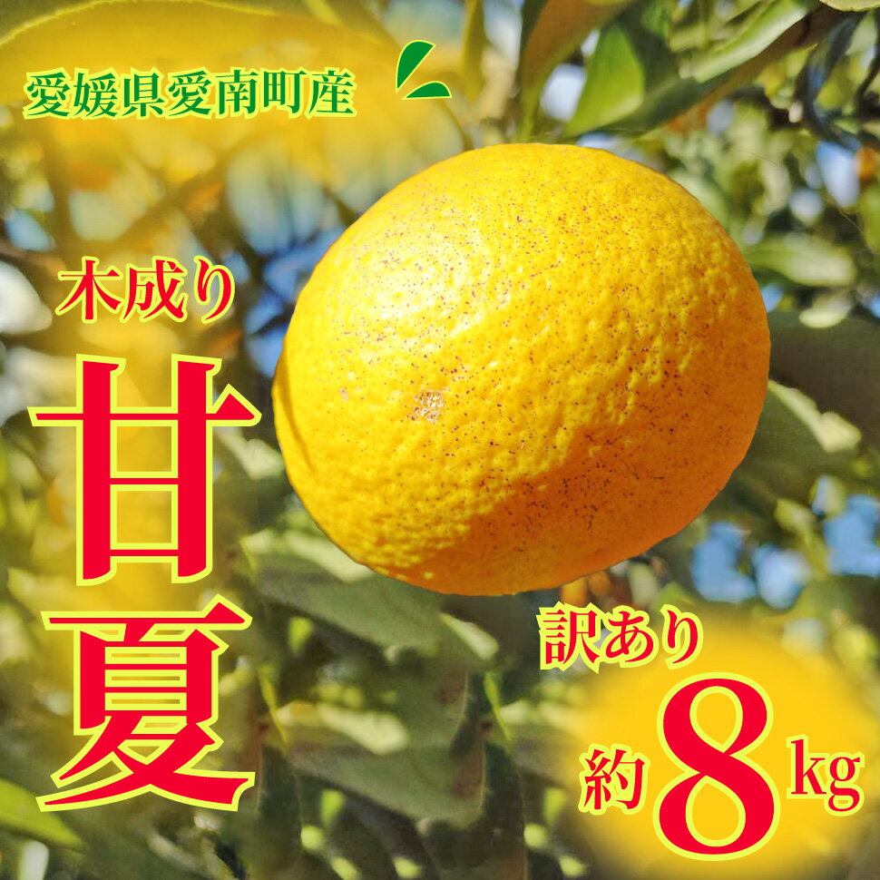【ふるさと納税】 訳あり 甘夏 8kg 先行予約 柑橘 かんきつ 蜜柑 愛媛 みかん 温州 みかん あまなつ 国産 こくさん mikan 果物 くだもの フルーツ デザート ジュース 果実 果肉 果汁 甘い ジューシー おいしい 濃厚 産地 直送 産直 特産品 愛媛県 愛南町 愛南町青果市場