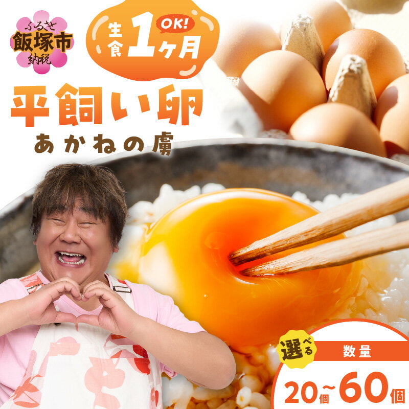 【ふるさと納税】＼個数が選べる！／〈平飼い卵〉あかねの虜 20個〜　 飯塚市 たまご 20個 30個 40個 60個 平飼い 福岡 TKG たまごかけ 卵 玉子 卵焼き オムレツ 卵かけごはん 卵料理 生卵 鶏卵 ふるさと納税 卵