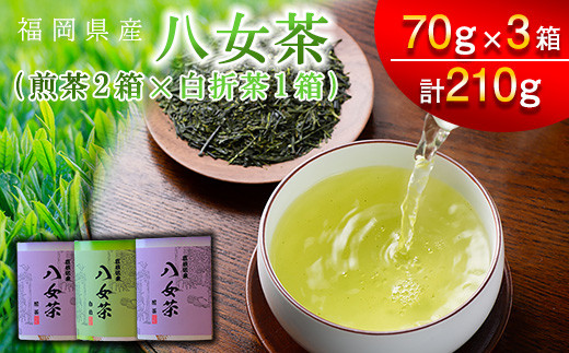 
【スカイパレード】福岡県産 八女茶 煎茶 70g×3 SP002-1
