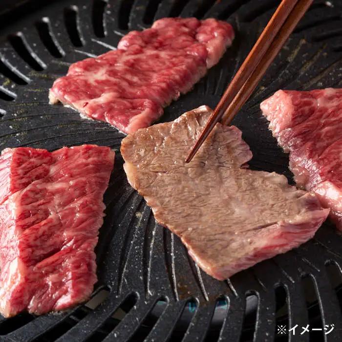 【スピード配送】ハラミ 600g (200g×3パック)  小分け焼肉 熟成 牛肉 ハラミ [ALEF008]
