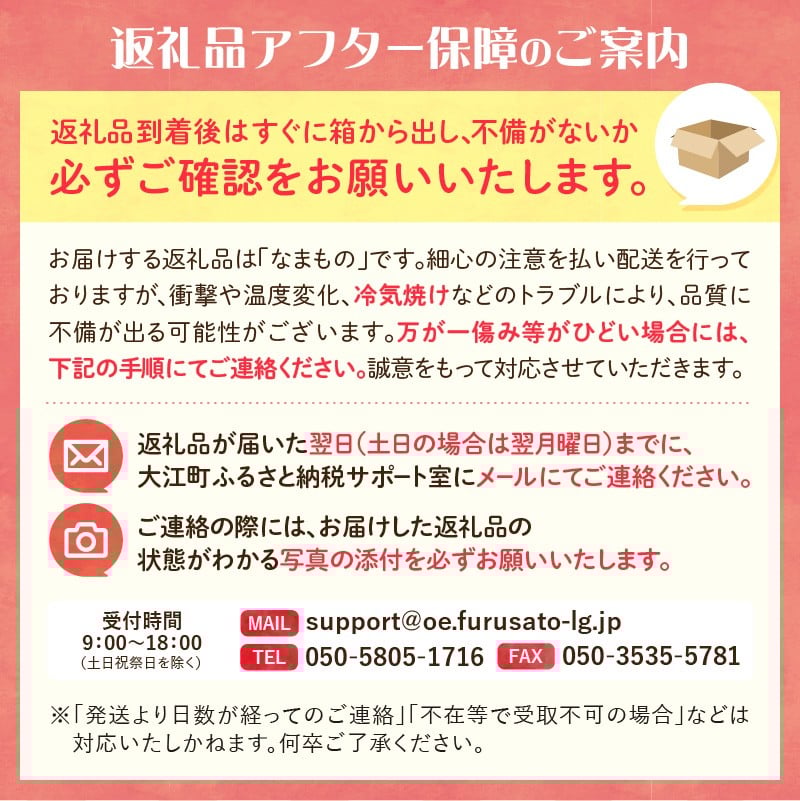 《先行受付》さくらんぼ 朝採り 大玉 紅秀峰 バラ 約500g 【2026年6月中旬以降順次発送予定】
