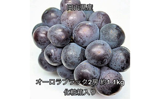 
                  オーロラブラック 2房 (約1.1kg) 化粧箱入り 岡山県産
                
