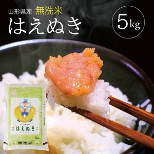 SB0774　令和7年産【無洗米】はえぬき　5kg×1袋 TO