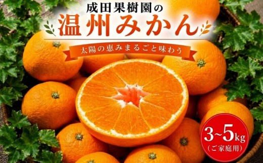 
                  成田果樹園の温州みかん 3～5kg ご家庭用 温州みかん 家庭用 自宅用 3kg 4kg 5kg 甘い 酸味 濃厚 旬 産地直送 柑橘 果物 果実 フルーツ 南国土佐 国産 高知県 3キロ 4キロ 5キロ 三キロ 四キロ 五キロ 10kg以下 お歳暮 プレゼント 蜜柑 美柑 みかん みかん みかん ミカン ミカン ミカン うんしゅう くだもの ジュース や ゼリー に 期間限定 先行予約 選べる
                