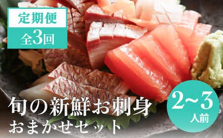 【３回 定期便】 氷見漁港朝どれ！旬の新鮮刺身おまかせセット ２、３人前（３月・６月・１１月）
