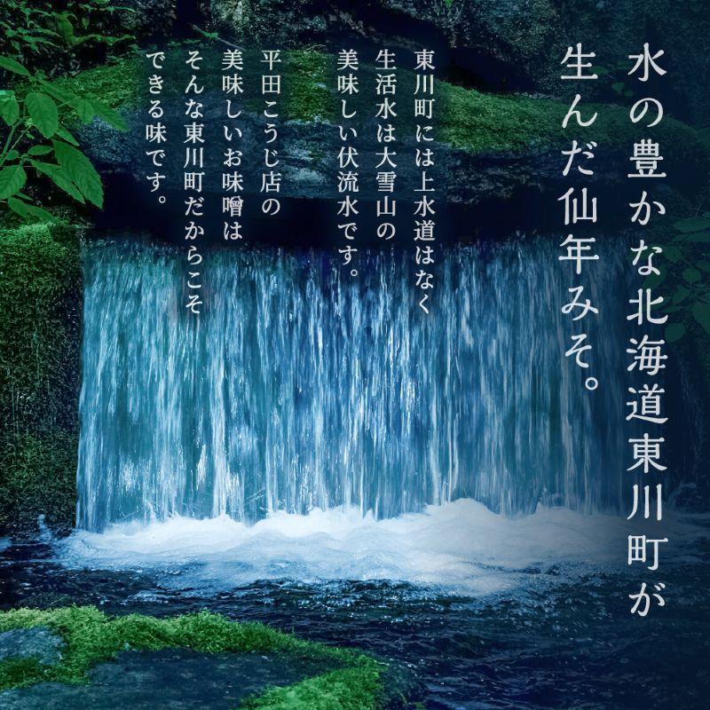 仙年みそ4種セット