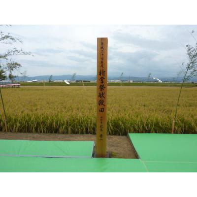 ふるさと納税 能美市 【令和7年産】石川県産にこまる米　白米5kg×1袋 |  | 03