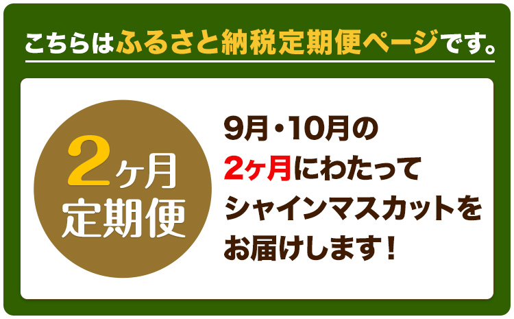 2ヶ月 定期便 シャインマスカット 晴王 約550g 《9月上旬-10月末頃出荷(土日祝除く)》【配送不可地域あり】（北海道・沖縄・離島）---124_c977tei_9j10m_24_40500_s
