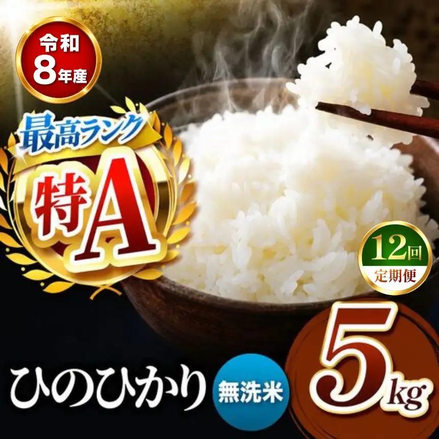 【 定期便 12回 】R8年産 熊本県産 無洗米 ひのひかり 5kg