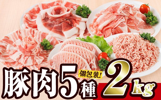 ＼11月発送／ 豚肉 バラエティーパック (合計2kg) 豚バラ しゃぶしゃぶ 鍋 とんかつ ロース 小分け 個包装 豚こま 小間切れ スライス ミンチ 5種 セット 詰め合わせ 冷凍 食べ比べ 国産 大分県 佐伯市【BD320-011】【西日本畜産】