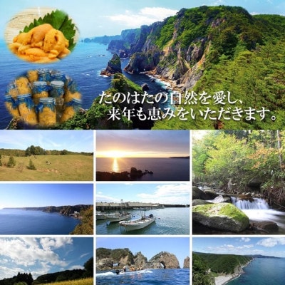 【予約・7月中旬発送】岩手・三陸　小さな村のきれいな海で育った　瓶入り　濃厚生うに(160g)【配送不可地域：離島・沖縄県・九州】【1657588】