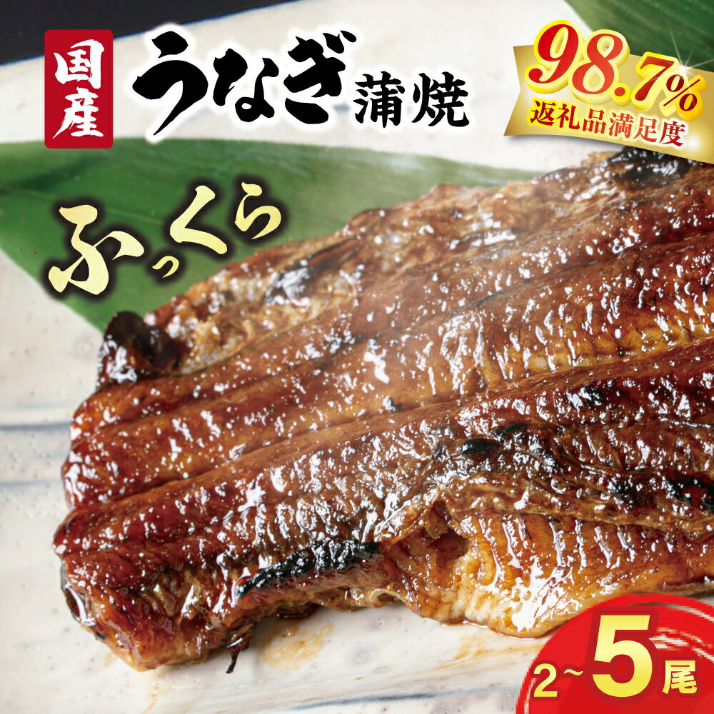 【ふるさと納税】炭櫓 国産うなぎ 備長炭地焼き蒲焼き180g以上 タレ付き 2尾 / 3尾 / 5尾 選べる 御中元 お中元