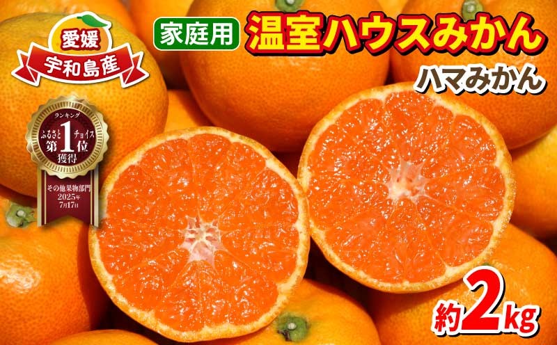 
            ハウスみかん 2kg 家庭用 R7.7月～8月上旬お届け ハマみかん 温州みかん 温室蜜柑 ハウス栽培 温室みかん 興津 早生 ハウス みかん mikan 果物 フルーツ 柑橘 蜜柑 愛媛ミカン 愛媛蜜柑 愛媛みかん 農家直送 産地直送 数量限定 国産 愛媛 宇和島 B015-075004
          
