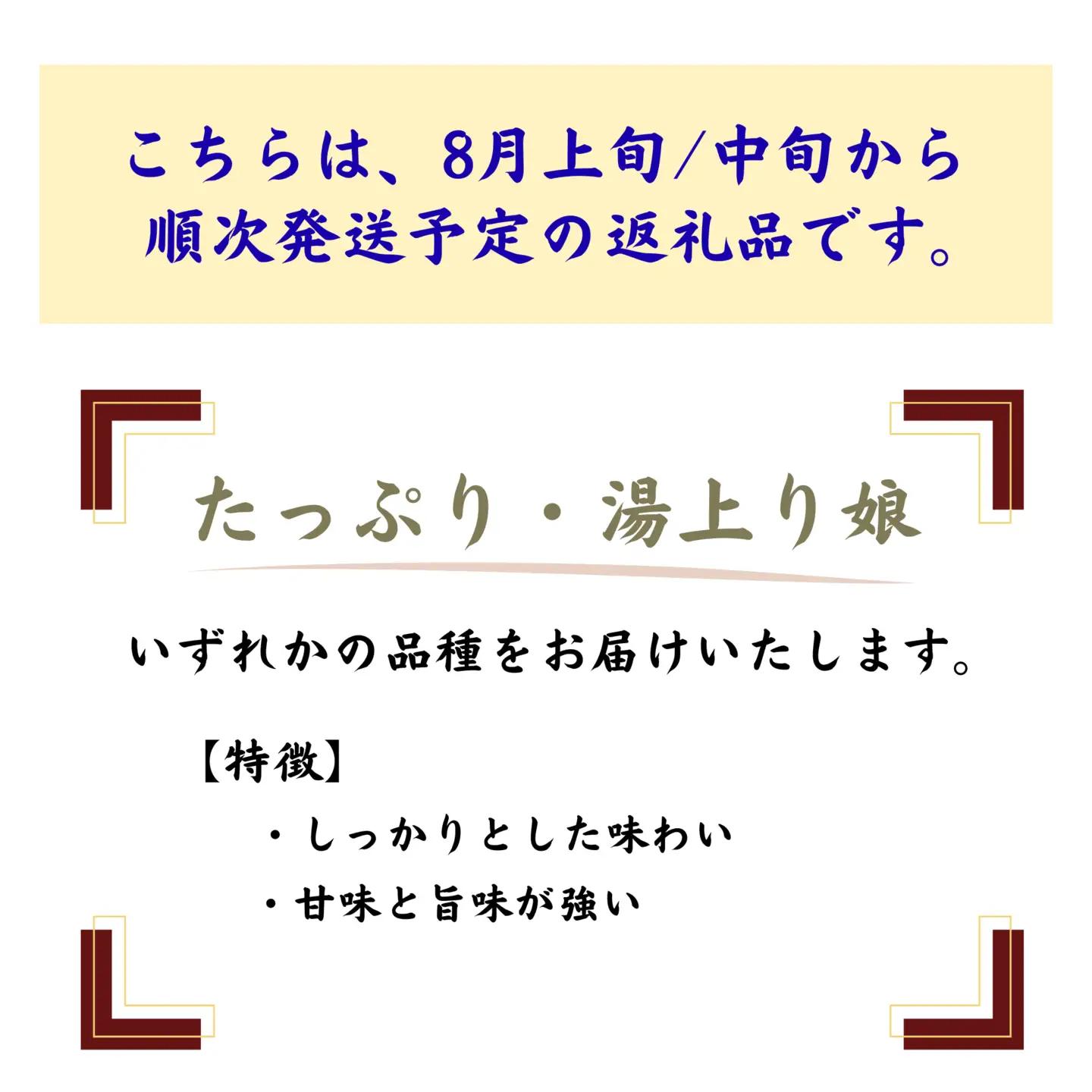 【令和８年産先行受付】枝豆１kg　秋田県井川町産　※８月中旬以降順次発送