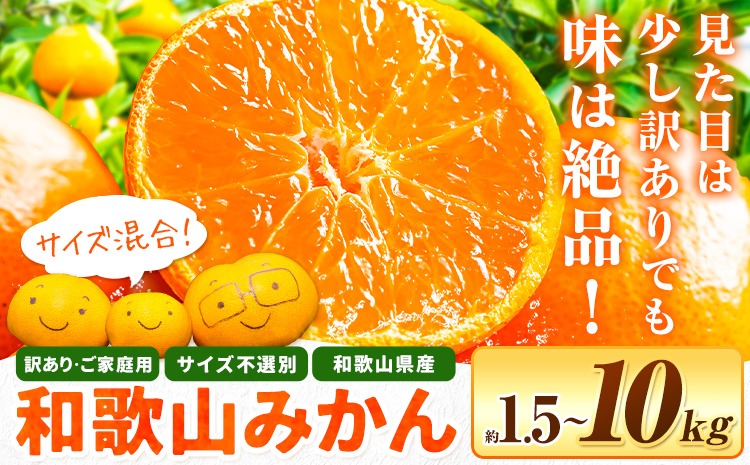 和歌山県産 訳あり みかん (3S～3L) 選べる内容量 約1.5kg 約5kg 約10kg《11月上旬-12月末頃出荷》和歌山県 日高川町 果物 フルーツ 訳ありみかん 家庭用 お試し 大容量 みかん 5kg みかん 10kg---wfn_wlocal_11j12m_25_3000_1500g---