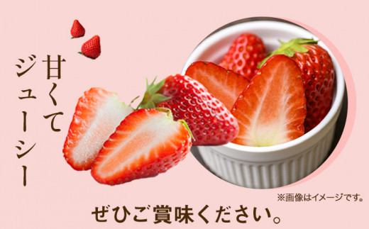 いちご 紅ほっぺ 1000g(250g×4パック) JA笠岡アグリ《1月中旬-3月末頃出荷》岡山県 笠岡市 送料無料 苺 フルーツ 果物 お取り寄せ【配達不可地域あり】