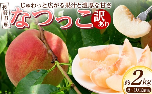 
                  【※2027年8月発送分　先行受付】長野市産甘さあふれる信州なつっこ2kg｜訳ありでも感動の果汁体験セット 桃 信州なつっこ 訳あり 長野市産 人気 おすすめ フルーツ 果物 もも なつっこ 家庭用 旬 産地直送 長野県 長野市 信州 信濃 ふるさと納税
                