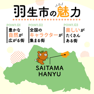 【グミ】訳あり グミ レモン味 6kg 約4000粒 埼玉県 羽生市