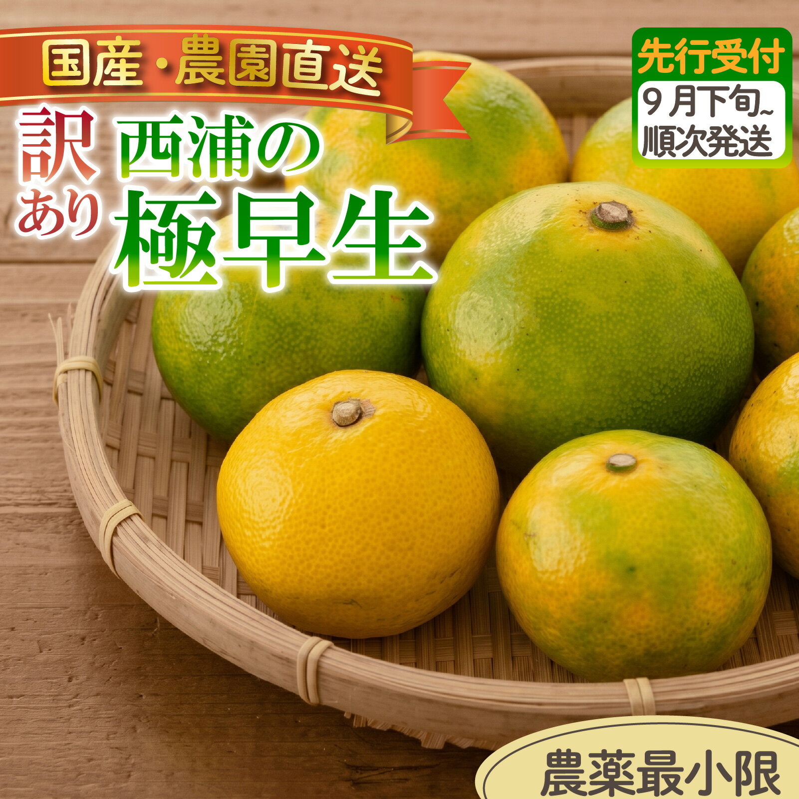 【ふるさと納税】 訳あり みかん 極早生 3kg 5kg 選べる容量 ｜ 木負観光みかん園 ミカン オレンジ 蜜柑 柑橘 フルーツ 旬 果物 国産 産地直送 季節限定 西浦 沼津市 静岡県
