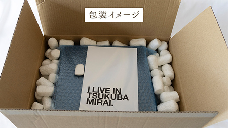 赤いちごと白いちごの宝石箱 18粒 【12月から発送開始】（茨城県共通返礼品 [いちご]：城里町産）