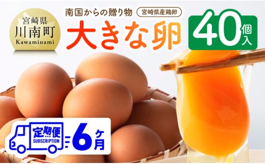 【6ヶ月定期便】宮崎県産鶏卵　「南国からの贈り物」大きな卵40個入り（35個+破損補償5個） 【 卵 たまご 新鮮 おうちごはん タマゴ おうち時間 】