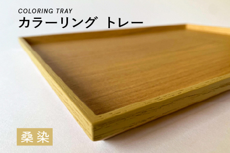 カラーリング トレー　桑染（くわぞめ）