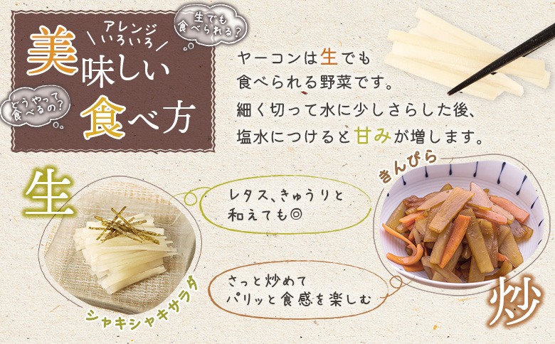 【北海道恵庭市産】余湖農園のヤーコン4kg【310014】_イメージ4