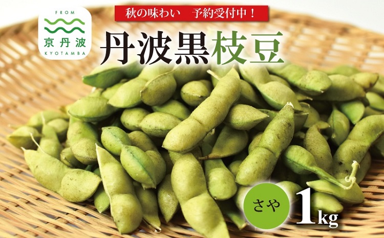 《先行予約》丹波黒枝豆 さや 1kg（京都・京丹波町産丹波黒大豆）≪秋だけの期間限定≫【季節限定 おつまみ  枝豆 えだまめ  黒豆 ご当地グルメ 特産品】 ※北海道・沖縄・その他離島は配送不可
