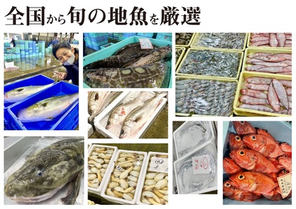 【 刺身 】 定期便12回 2人前 冷凍 刺身 サカナDIY CX