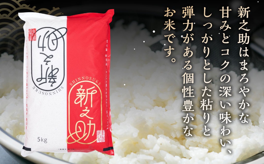 【新米受付・令和6年産米】【定期便：3ヶ月連続でお届け】 村上市産 新之助 18kg （6kg×3ヶ月）コース 1027003N