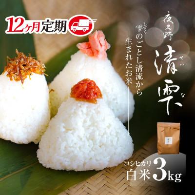 ふるさと納税 福知山市 【毎月定期便】京都夜久野産 清雫(せいな)コシヒカリ 白米 3kg全12回