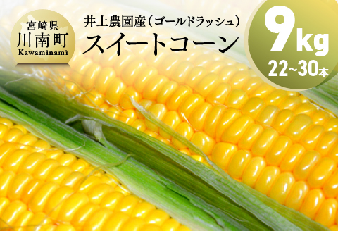 【令和7年発送】宮崎県産とうもろこし　井上農園産スイートコーン「ゴールドラッシュ」4.5kg×2 【 トウモロコシ スィートコーン 2025年発送 先行予約 数量限定 期間限定 野菜 】 [D03902]