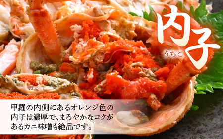 《冷凍》獲れたて!茹でたての越前セイコガニ大 ２杯を-60℃で急速冷凍しました![m17-a045]