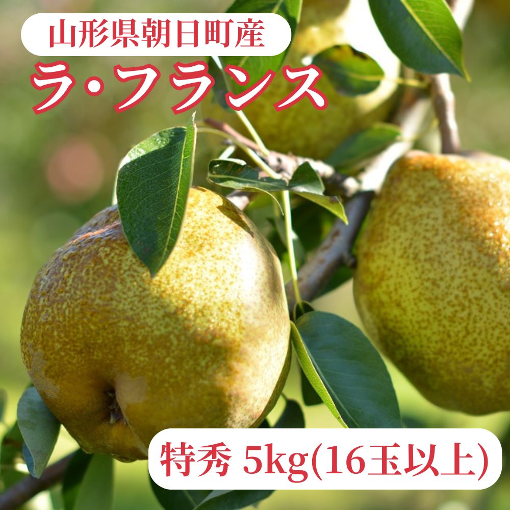 【ふるさと納税】ラ・フランス 洋梨 5kg 16玉以上 特秀 山形産 山形 特産 産地直送 果物 フルーツ ラフランス 秋 山形県 朝日町産 送料無料