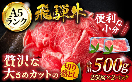 飛騨牛 A5ランク 切り落とし 500g(250g×2)【有限会社マルゴー】  土岐市 岐阜産 肉 牛肉 国産 和牛 牛肉 A5等級 霜降り すき焼き しゃぶしゃぶ 牛丼 カレー ビーフシチュー バラ こま 小分け BBQ 冷凍 保存 おすそ分け 高級 贅沢 贈り物 プレゼント 送料無料   [MBE002]