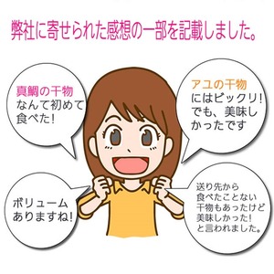 おまかせ干物セット  2倍セット【 惣菜 おかず 魚 ひもの 神奈川県 小田原市】