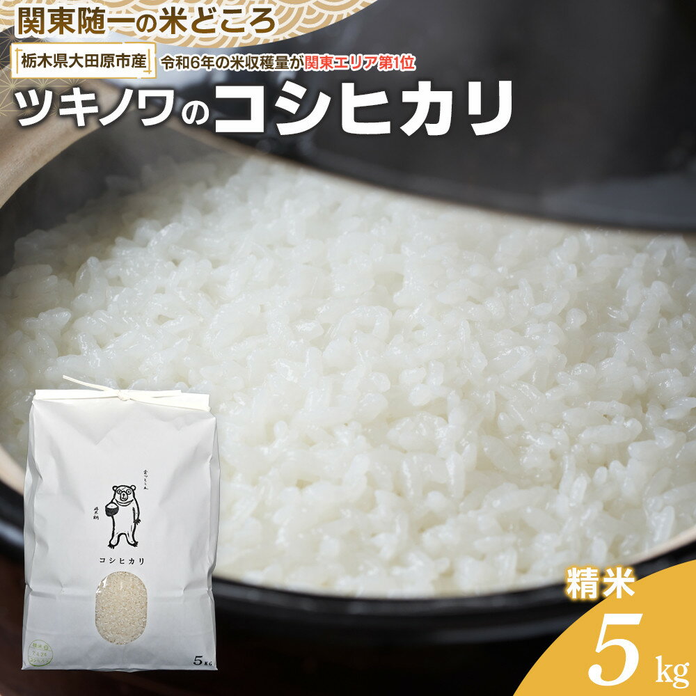 【ふるさと納税】【令和7年産 】ツキノワのコシヒカリ 精米 5kg ｜お米 白米 ご飯 コメ 栃木県 大田原市 | お米 こめ 白米 食品 人気　おすすめ　送料無料
