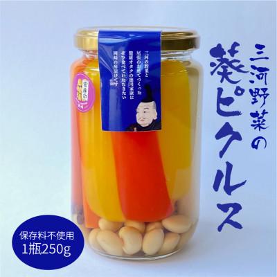 ふるさと納税 岡崎市 三河野菜の葵ピクルス「あいちの家康酢漬」250g