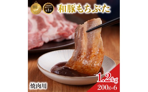 焼肉用 豚バラ 和豚 もちぶた 200g×6 豚肉