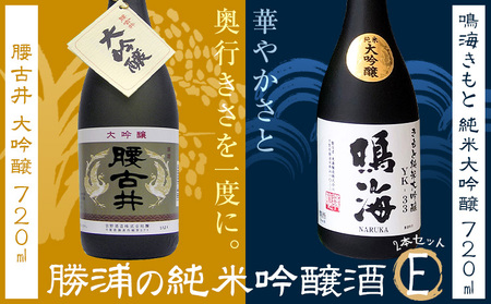 勝浦の大吟醸 720ml・2本入セットE 鳴海 きもと 純米 大吟醸720ml 腰古井 大吟醸720ml 有限会社　滝口商店《30日以内に出荷予定(土日祝除く)》千葉県 勝浦市 日本酒 酒 純米 吟醸