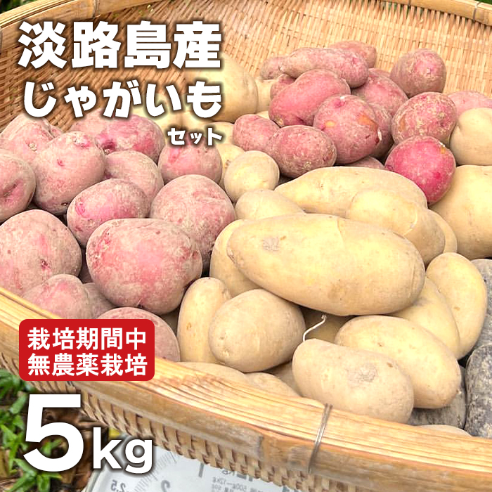 淡路島産じゃがいもセット 5kg【栽培期間中、無農薬栽培】