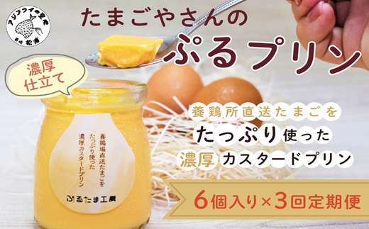 
                  【3か月定期便】たまごやさんのぷるプリン 6個入(濃厚仕立て)×3回( 新鮮 赤たまご ぷりん プリン 濃厚 カスタード 定期便 )【999-0001】
                