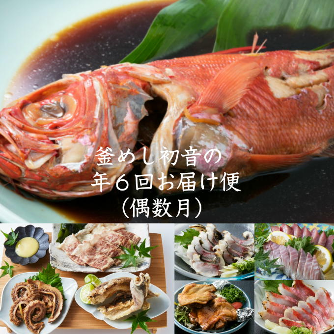 室戸のうまいもん！初音の定期便！年６回お届け【偶数コース】