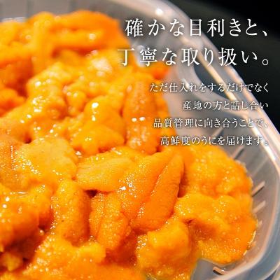 ふるさと納税 余市町 【先行受付】≪贈り物≫幸福雲丹160gセット(ムラサキ・バフン北海道産)_Y038-0136 |  | 01