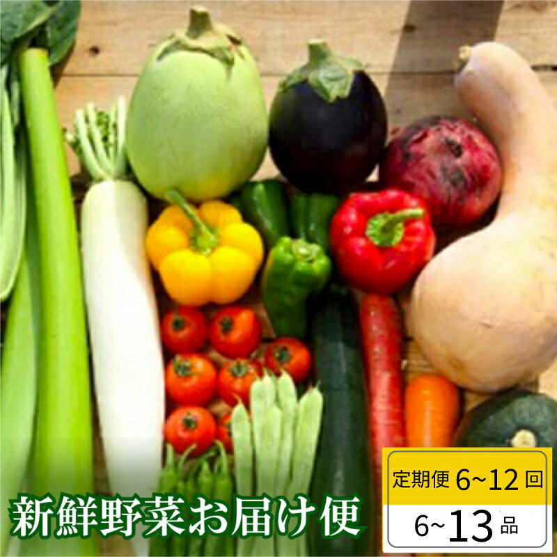 【ふるさと納税】 【早期予約】 全 6~12回 定期便 季節 旬の 野菜 6～13品 詰め合わせ セット 年末年始限定 早期予約 期間限定 高知県 須崎市人気 ランキング 食品 お楽しみ バラエティ おすすめ